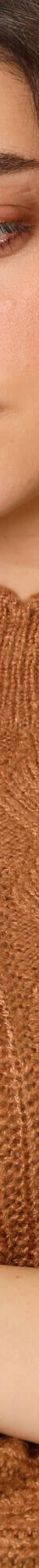Pull col montant, maille anglaise toucher doux (noisette) Pull col montant, maille anglaise toucher doux (noisette)